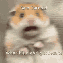 a hamster with the words sam darnold when his night light breaks