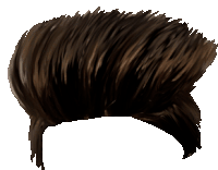 a close up of a brown hair wig with a white background