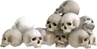 a pile of skulls are stacked on top of each other on a white background .