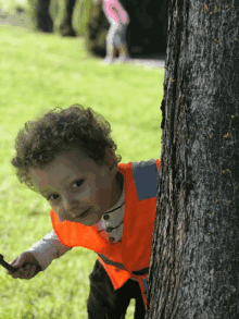 a young boy wearing an orange vest is peeking out from behind a tree trunk