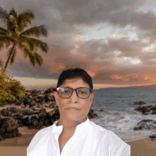 a man wearing glasses stands in front of a beach with palm trees in the background