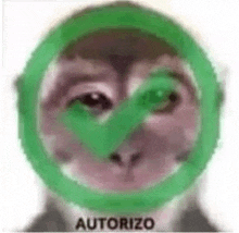 a close up of a monkey wearing a green circle around its face .