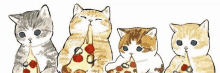 a group of cats are sitting next to each other eating slices of pizza .