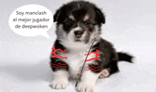 a black and white puppy holding a sword with a speech bubble that says soy manclash el mejor jugador de deepwoken