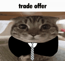 a cat wearing a suit and tie with the words trade offer written below it