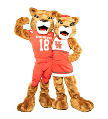 two houston mascots are posing for a photo