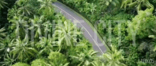 an aerial view of a road going through a lush green forest with the word city visible in the background