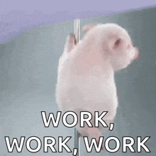 a small white pig is standing on a pole with the words `` work , work , work '' written on it .
