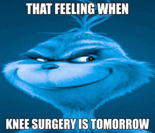 a picture of a grinch with a caption that says that feeling when knee surgery is tomorrow