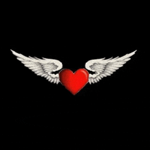 a red heart with angel wings on a black background .