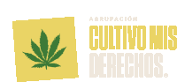 a logo for cultivo mis derechos shows a marijuana leaf in a square