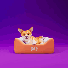 a dog is laying in an orange dog bed that says gap on it