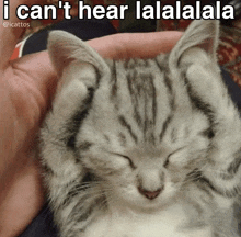 a cat with its eyes closed and a caption that says ' i can 't hear lalalalala ' on it