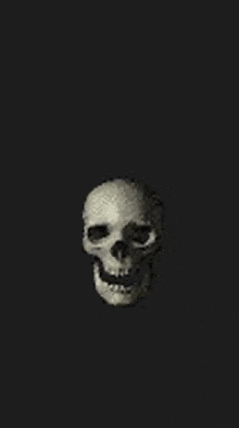 a close up of a skull on a black background