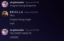 a screenshot of a conversation between ze gatosealer and briella man