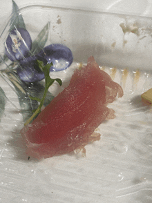 a piece of red meat is on a plastic tray