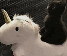 a black cat is sitting on a stuffed unicorn