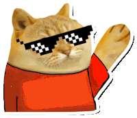 a cat wearing sunglasses and an orange shirt