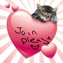 a kitten is sleeping on a pink heart with the words join please written on it