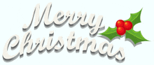 a merry christmas sign with a holly and berries