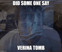 a screenshot of a video game with the words did some one say verina tomb