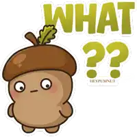a cartoon of an acorn with the words what and heypumnut underneath it