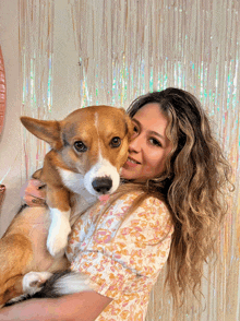 a woman holding a brown and white dog with a pink tongue sticking out