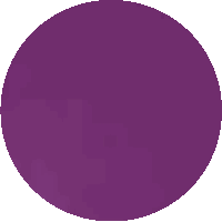 a purple circle with a white border is on a white background