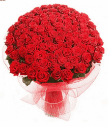 a bouquet of red roses wrapped in red ribbon