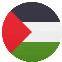 the flag of palestine is in a circle with a red triangle in the middle