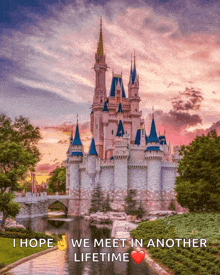 a picture of a castle with a caption that says i hope we meet in another lifetime