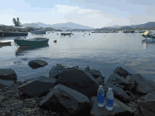 two bottles of aquafina sit on a rocky shoreline