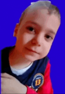 a young boy wearing a red and blue shirt with the number 13 on it .