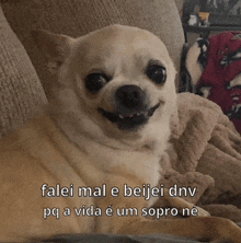 a small dog is sitting on a couch with the caption falei mal e beijei dnv on the bottom