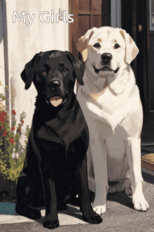 a black and white dog sitting next to each other with the words " my girls " written above them