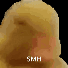 a pixelated image of a person 's face with the word smh written below it
