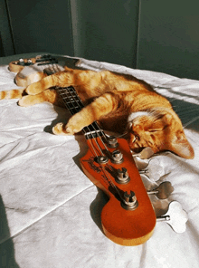 a cat laying on a fender bass guitar