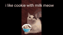 a cat laying next to a bowl of cookies with the words i like cookie with milk meow above it