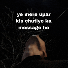 a man looking up at a tree with the words ye mere upar kis chutiye ka message he written above him