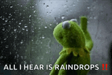 kermit the frog is standing in front of a window with rain drops and the words all i hear is raindrops