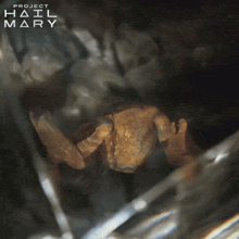 a poster for the video game project hail mary shows a crab