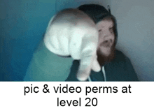 a man with a beard is pointing at the camera with a caption that says pic & video perms at level 20 .