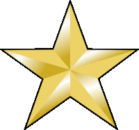 a gold star with a black outline and a shiny finish