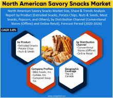 a poster for the north american savory snacks market showing various snacks