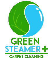 a logo for green steamer + carpet cleaning shows a leaf and a drop of water