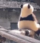 a stuffed panda bear is sitting on a wooden fence .