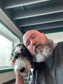 a bald man with a beard is holding a small dog on his shoulder