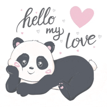 a panda bear laying down with the words hello my love written on the bottom