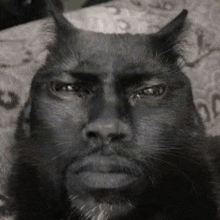 a black cat with horns and a beard