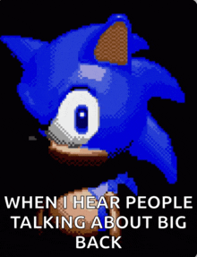 a pixelated image of sonic the hedgehog with the caption when i hear people talking about big back